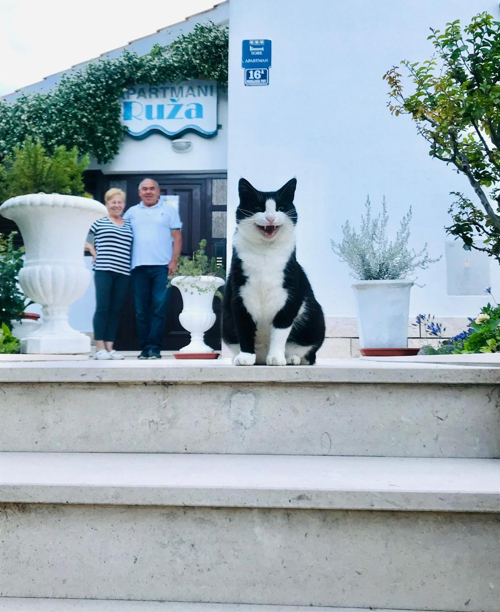 Apartments Ruza Kaštela 外观 照片